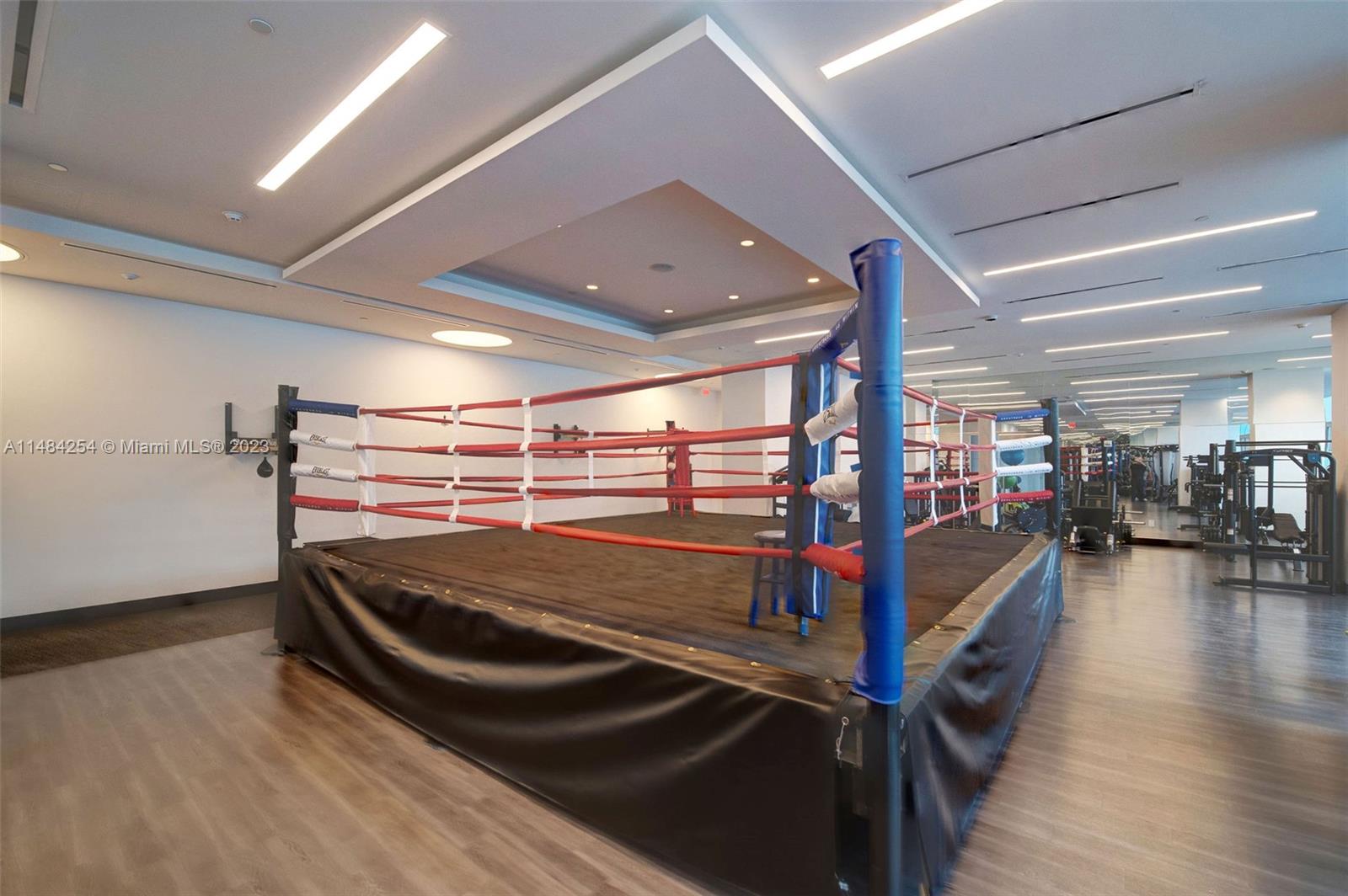 Boxing ring