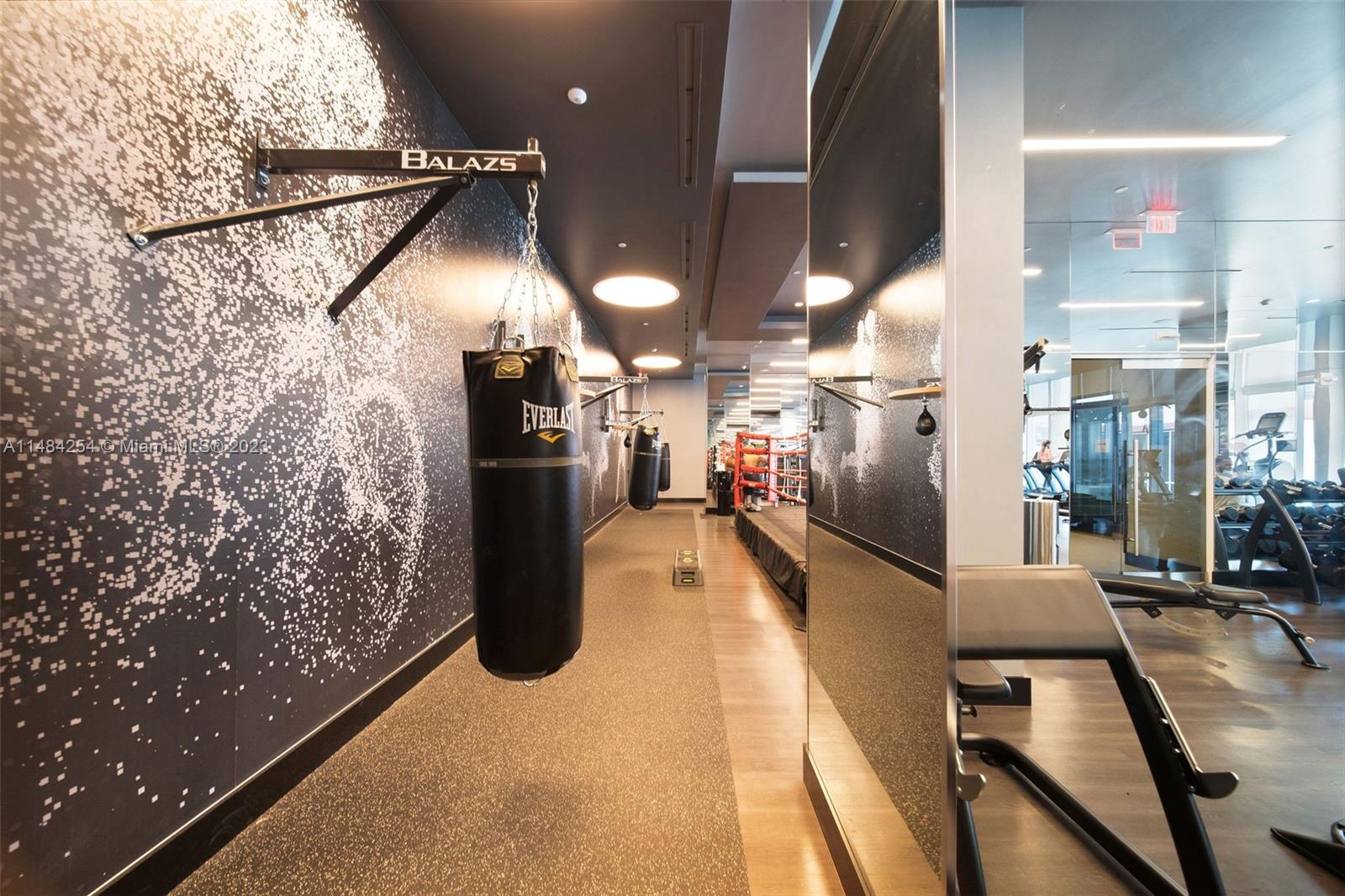 Gym boxing bags