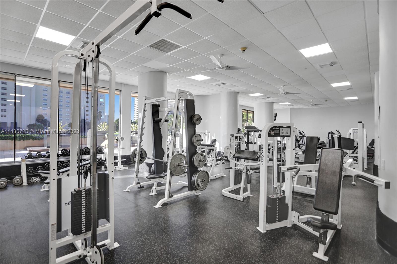 Gym