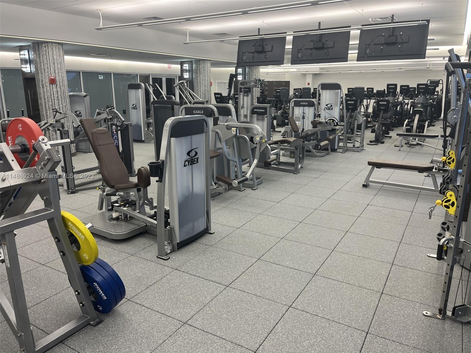 Gym