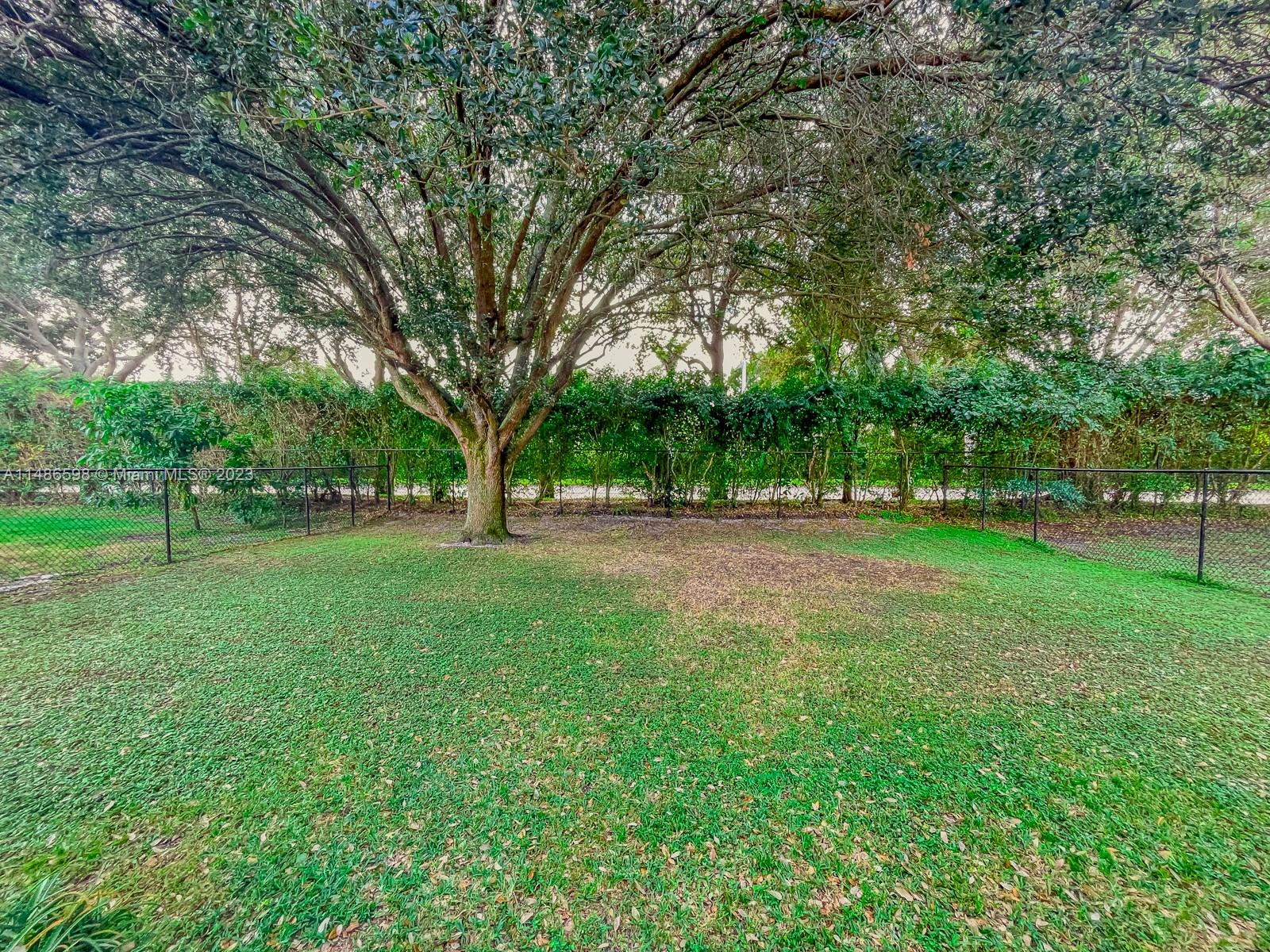 Listing Photo 6