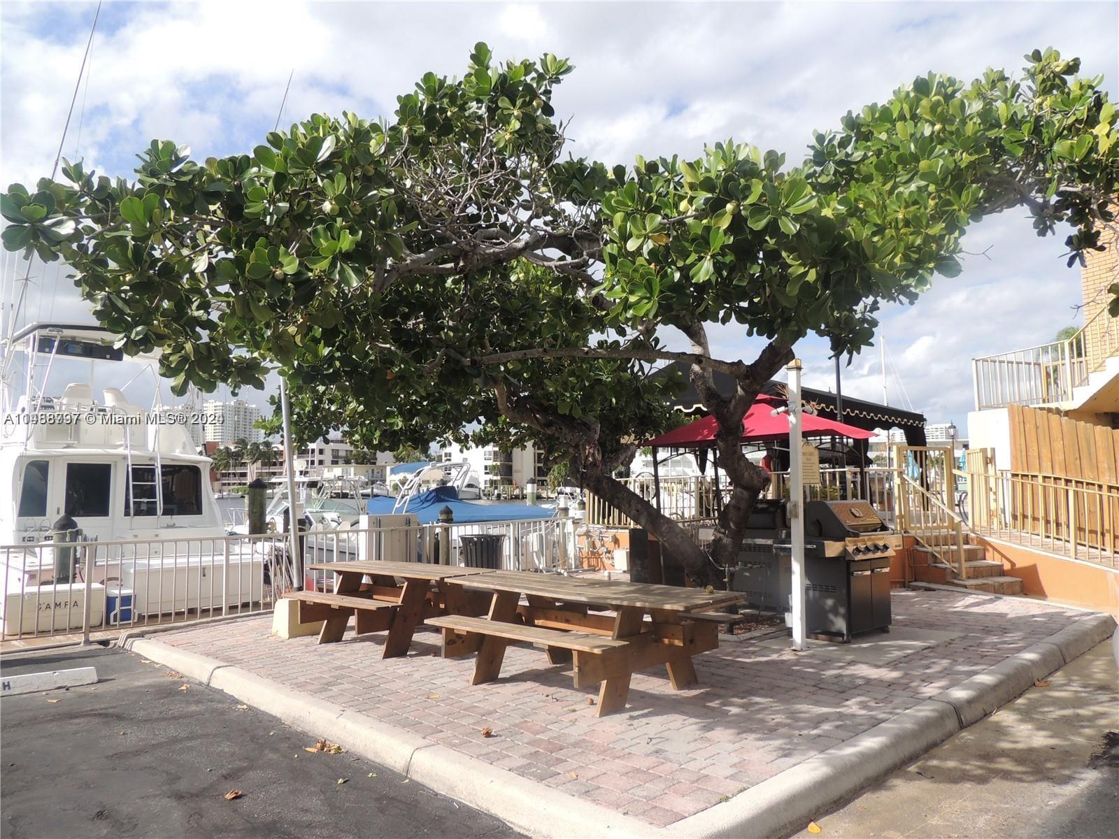 Hallandale Beach, Florida 33009, 1 Bedroom Bedrooms, ,1 BathroomBathrooms,Residential,For Sale,A11488797