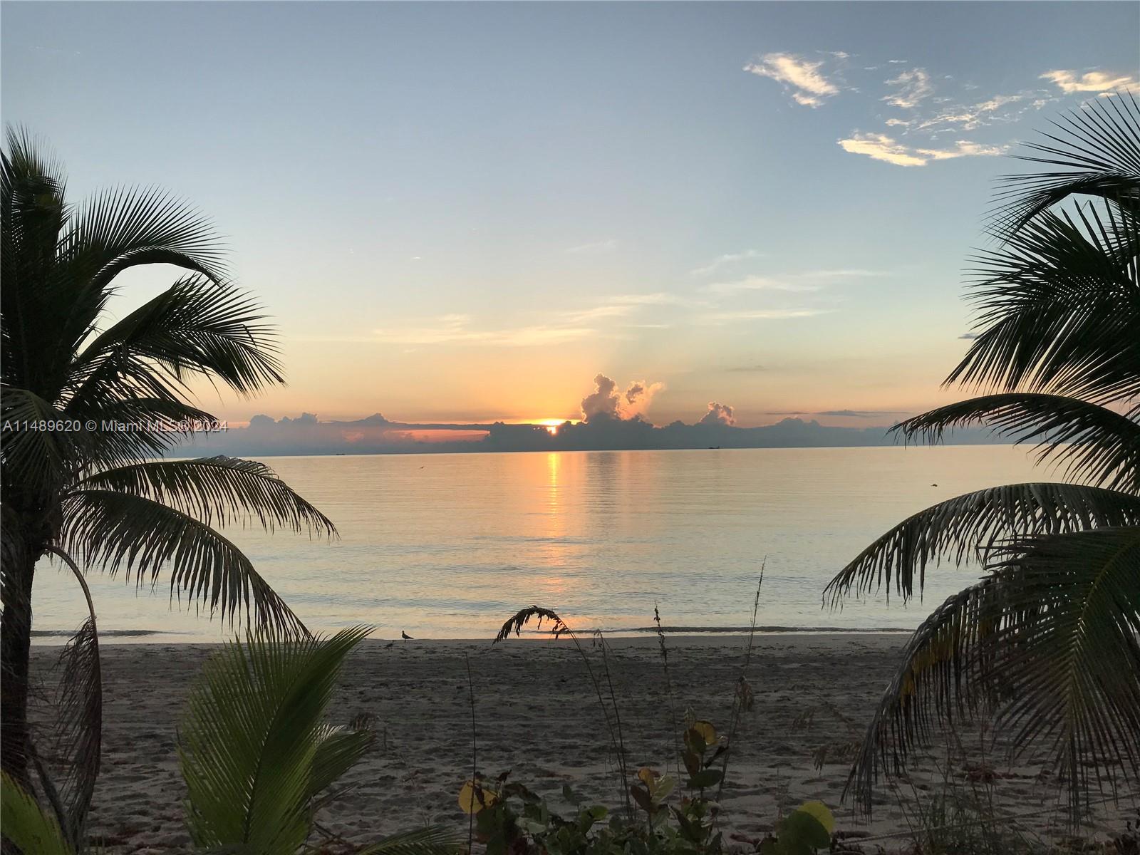 2030 S Ocean Dr 803, Hallandale Beach, Florida 33009, 1 Bedroom Bedrooms, ,1 BathroomBathrooms,Residential,For Sale,2030 S Ocean Dr 803,A11489620