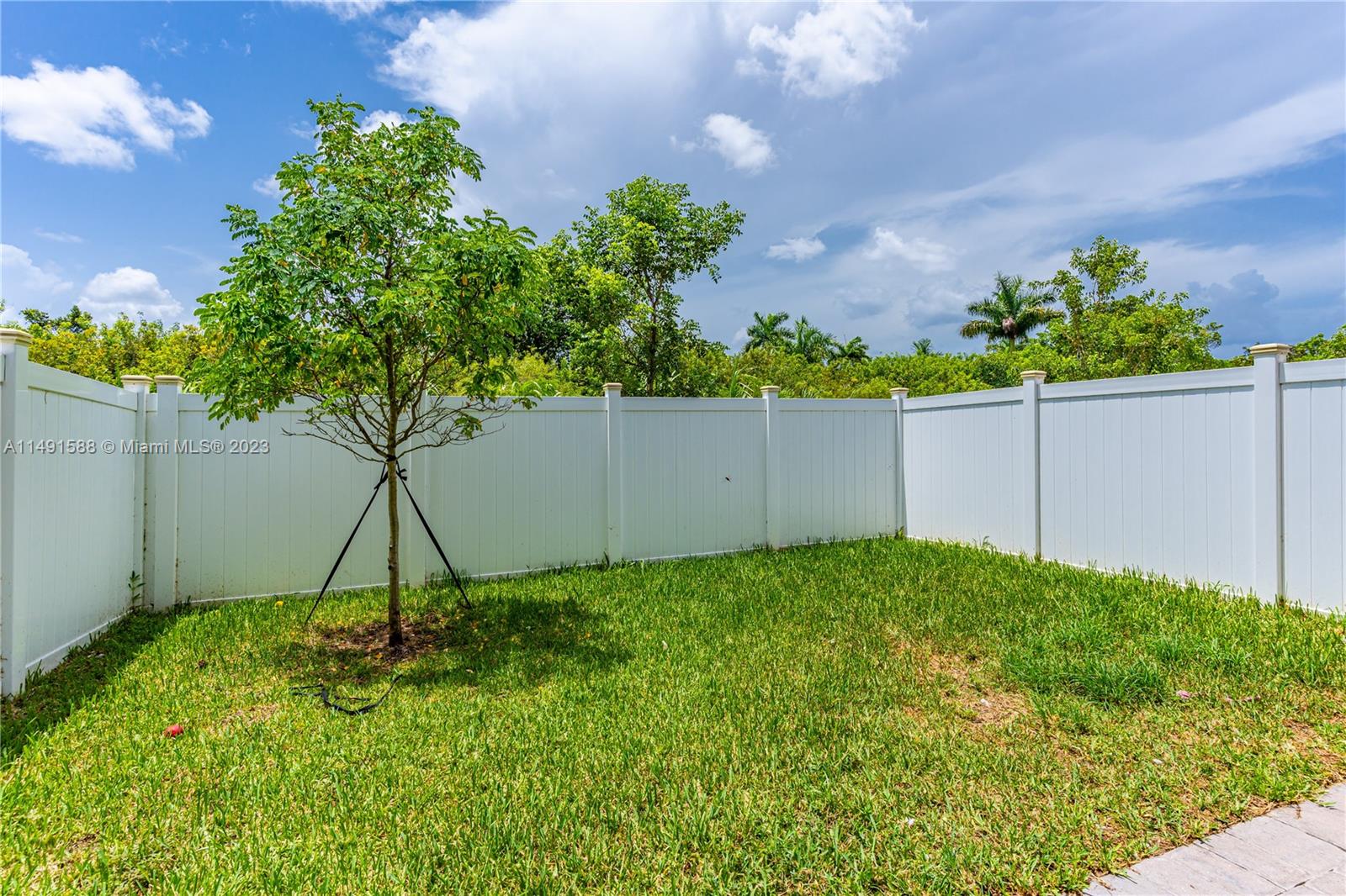 Yard