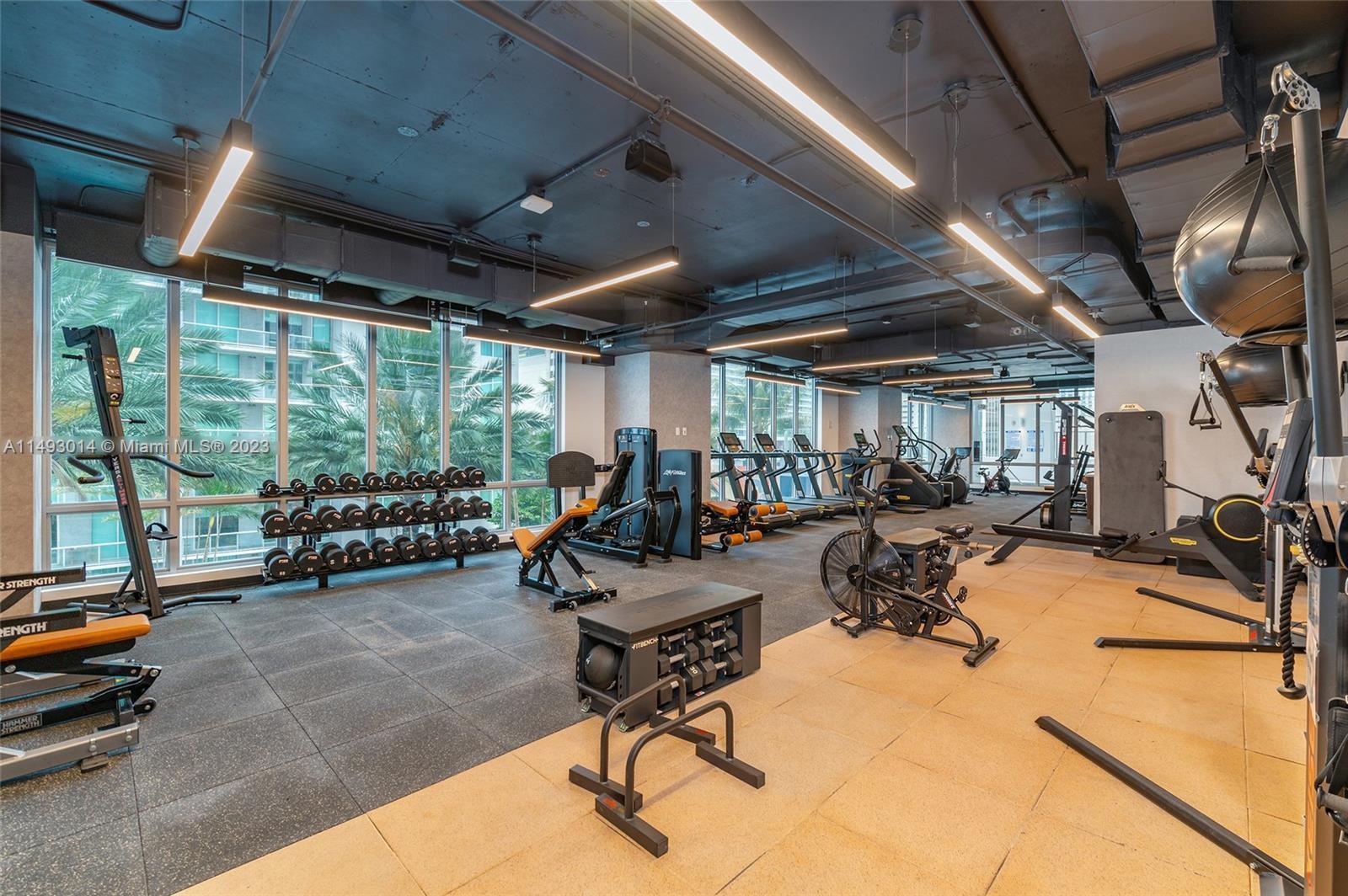 Gym