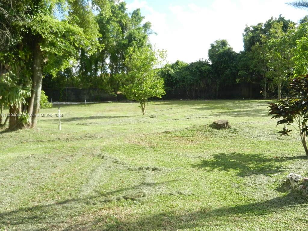 Yard