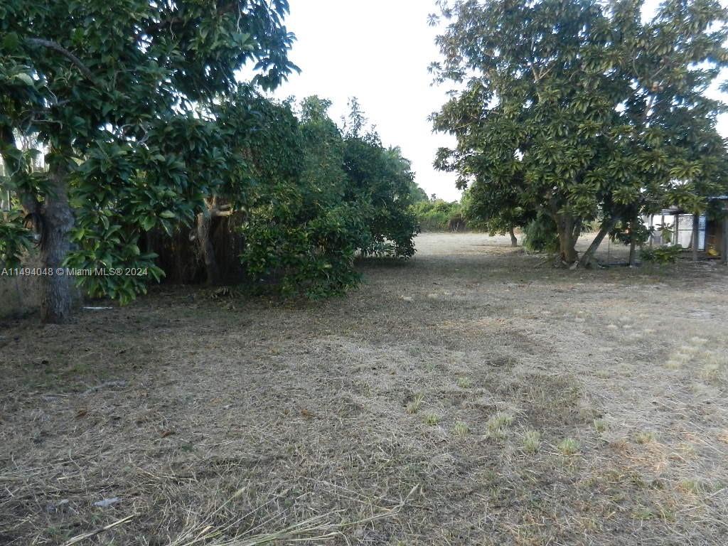 YARD
