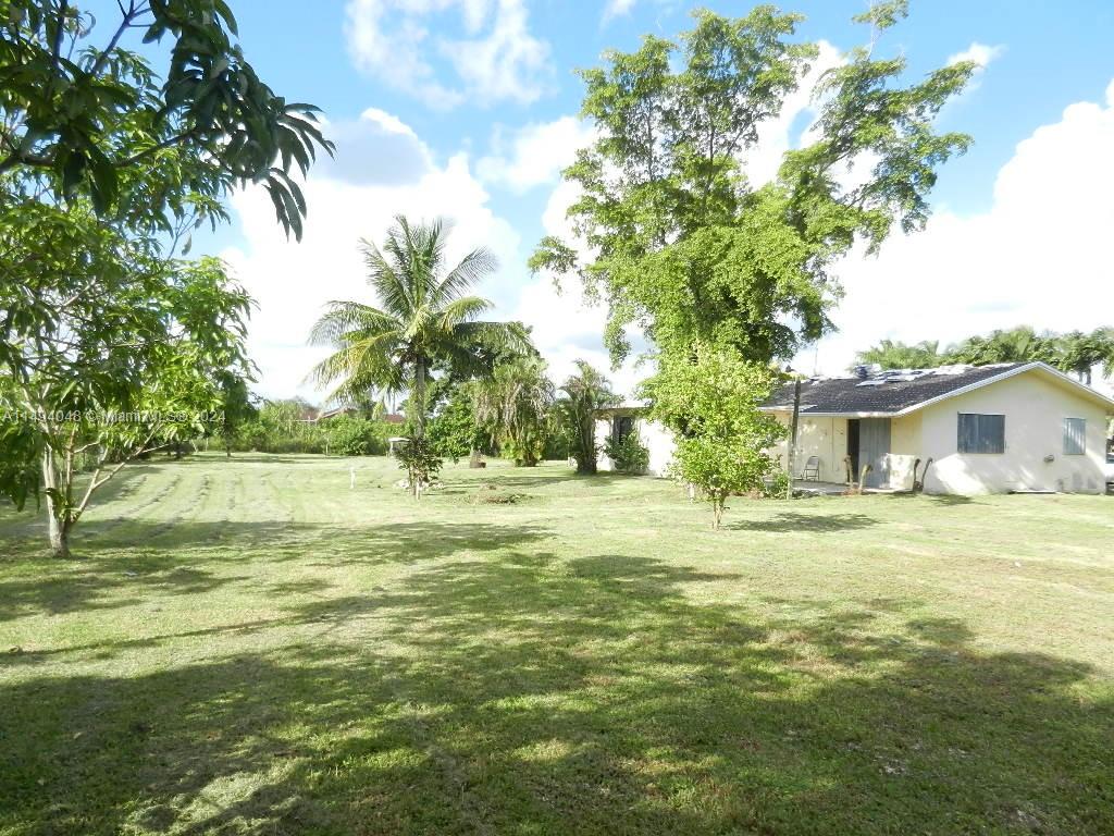 Yard