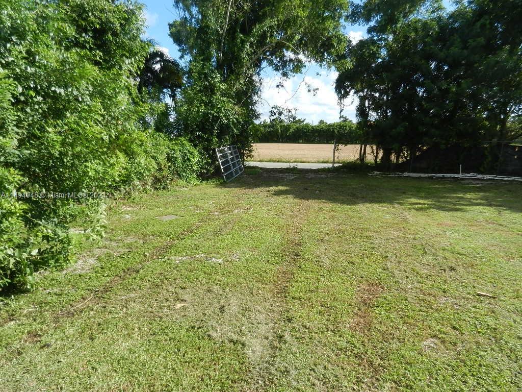 Yard