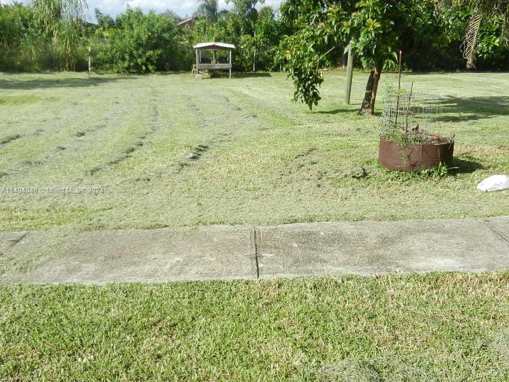 Yard