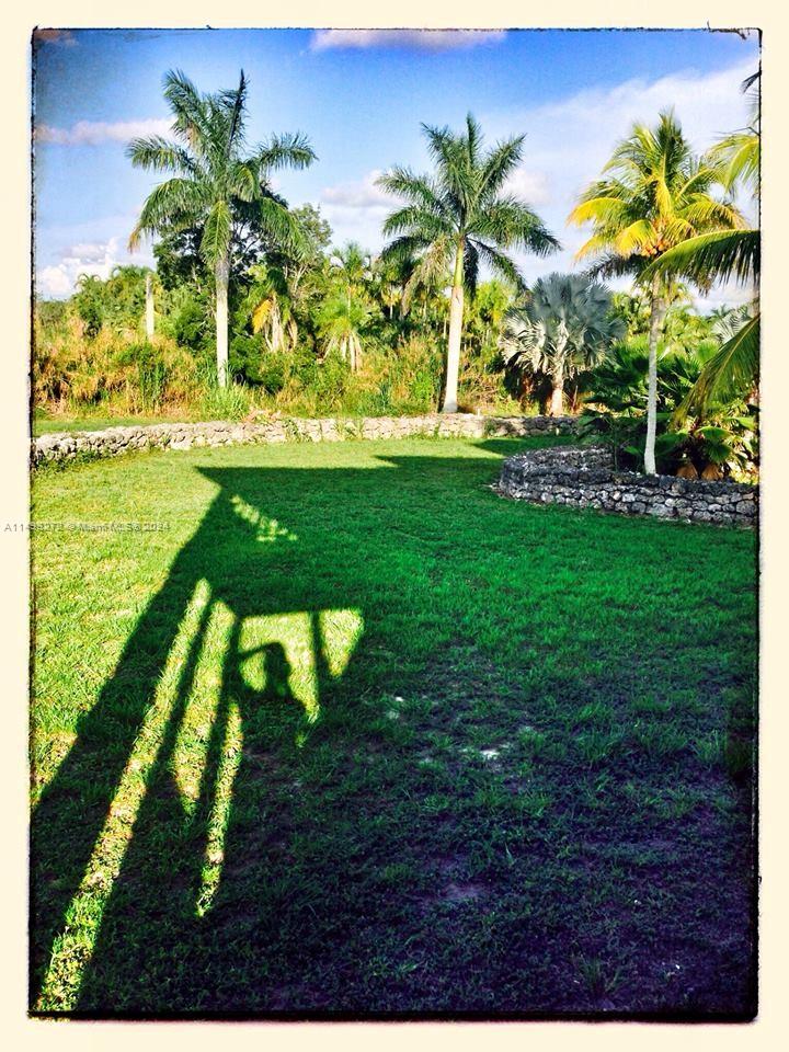 Yard