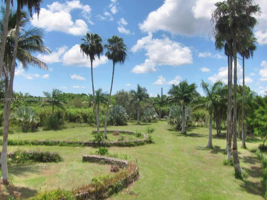 Yard