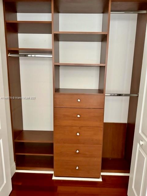 Built-In Closet 3