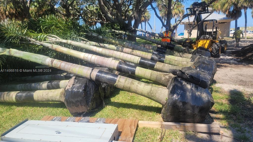 Miami, Florida 33187, ,Land,For Sale,A11498818