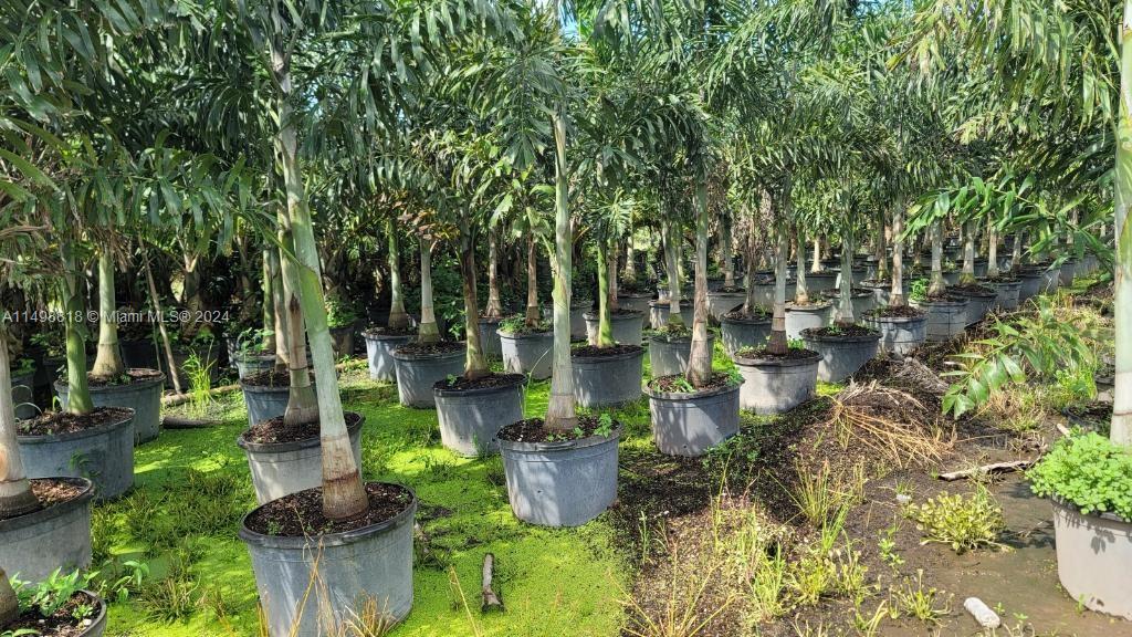 Miami, Florida 33187, ,Land,For Sale,A11498818