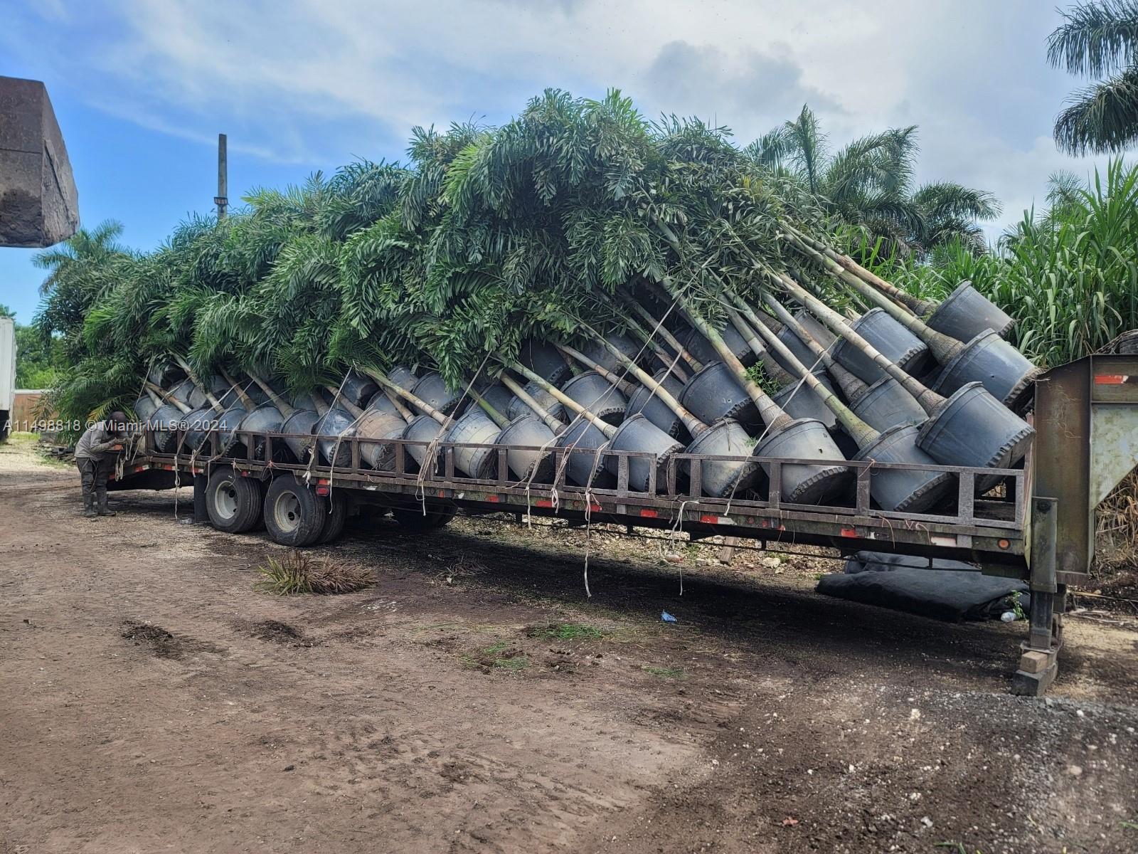 Miami, Florida 33187, ,Land,For Sale,A11498818