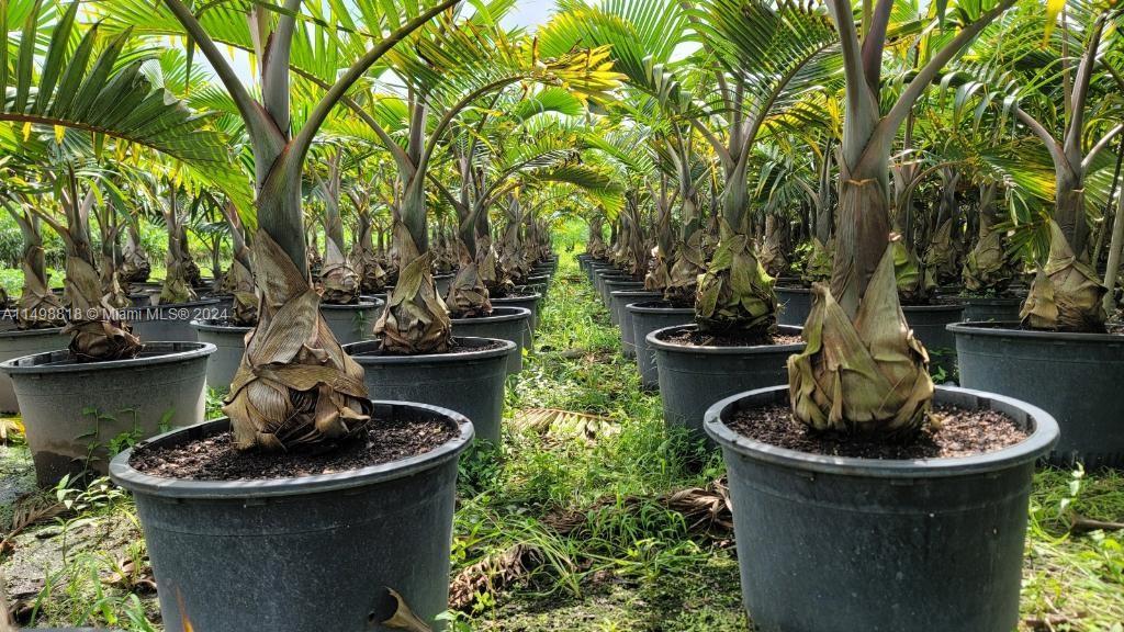 Miami, Florida 33187, ,Land,For Sale,A11498818