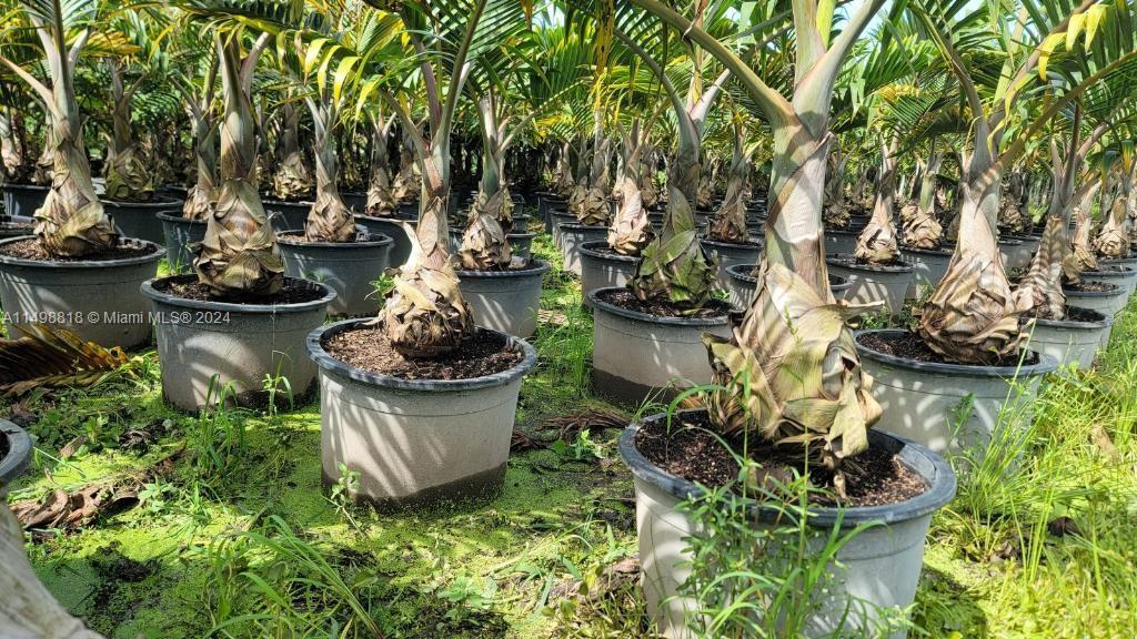 Miami, Florida 33187, ,Land,For Sale,A11498818