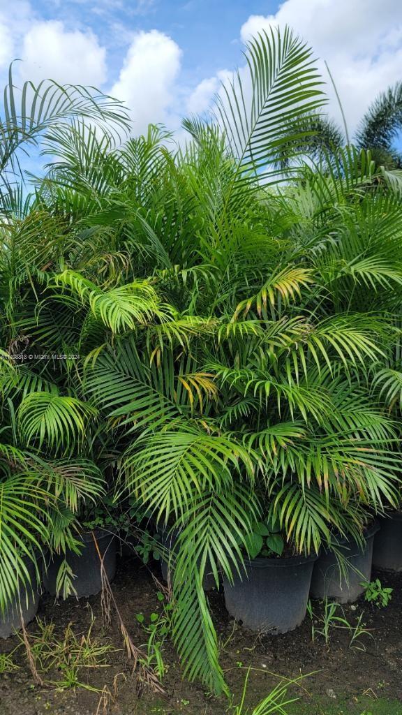 Miami, Florida 33187, ,Land,For Sale,A11498818