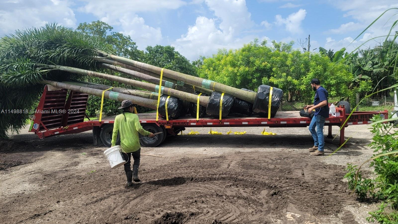 Miami, Florida 33187, ,Land,For Sale,A11498818