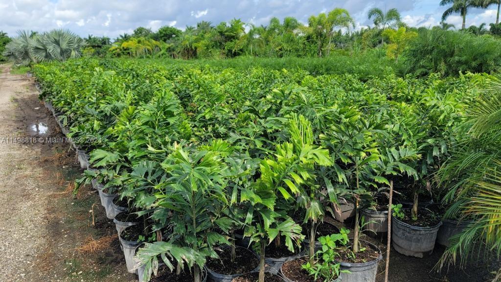 Miami, Florida 33187, ,Land,For Sale,A11498818