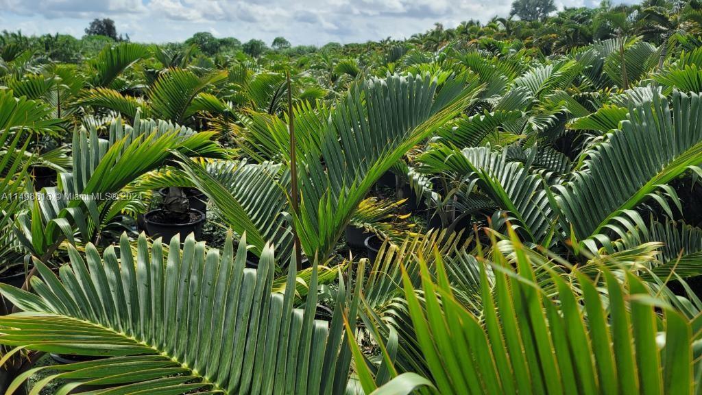 Miami, Florida 33187, ,Land,For Sale,A11498818