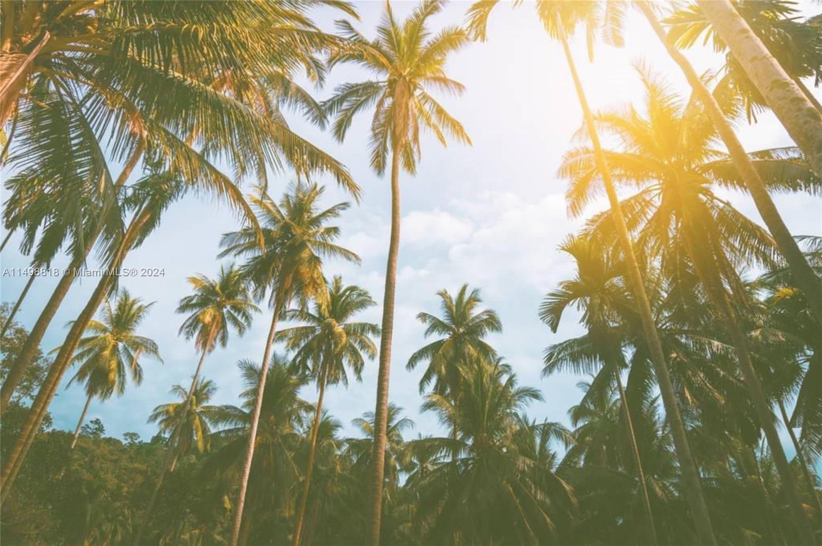 Miami, Florida 33187, ,Land,For Sale,A11498818