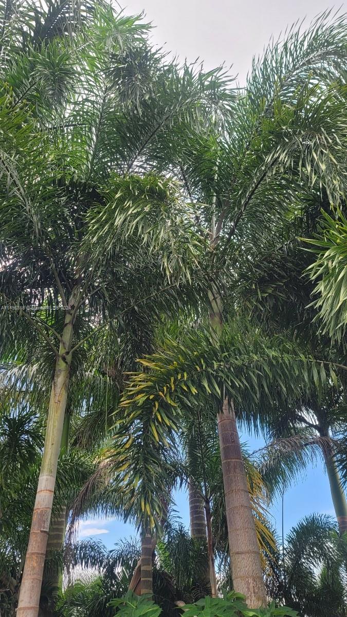 Miami, Florida 33187, ,Land,For Sale,A11498818