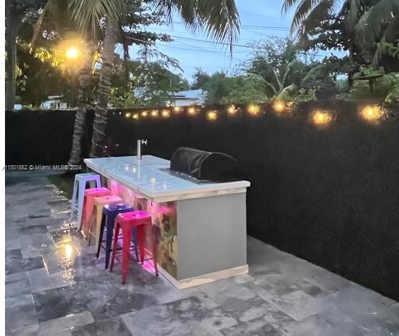 BBQ Kegerator, lighting, Gas burners refrigerator roastery