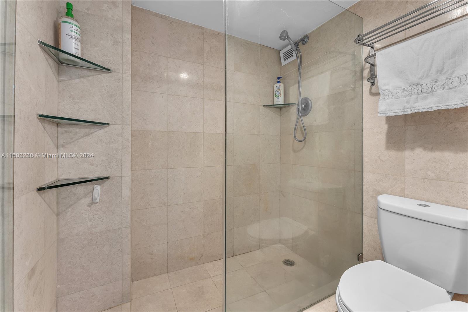 Master Bathroom - Shower