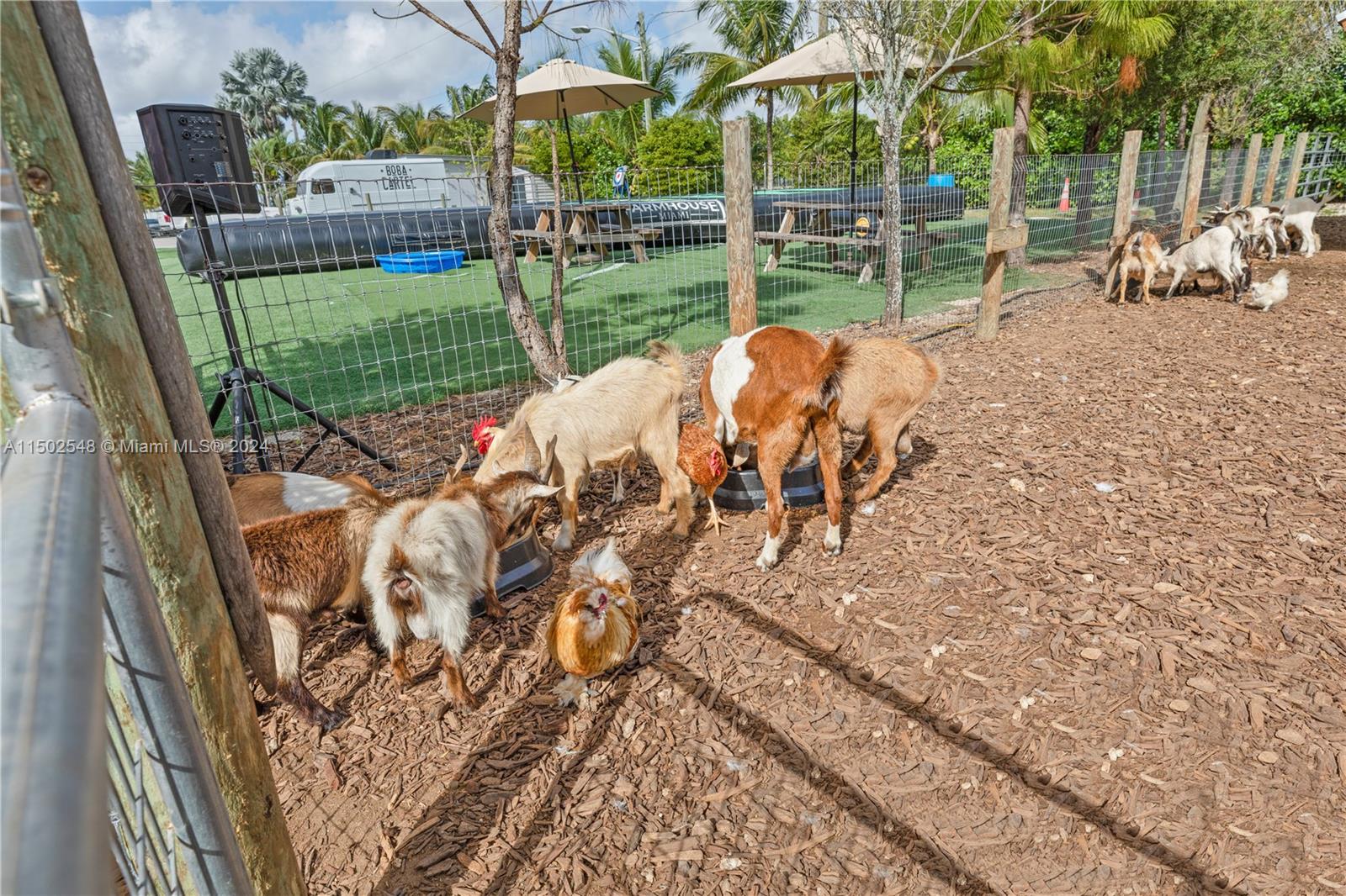 16901 SW 177th Ave, Miami, Florida 33187, ,Land,For Sale,16901 SW 177th Ave,A11502548