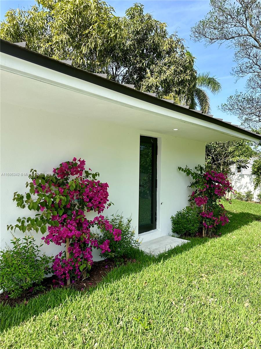 Side Yard