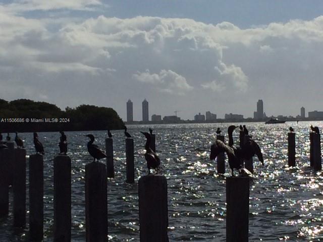 Miami, Florida 33138, 1 Bedroom Bedrooms, ,1 BathroomBathrooms,Residentiallease,For Rent,A11506686