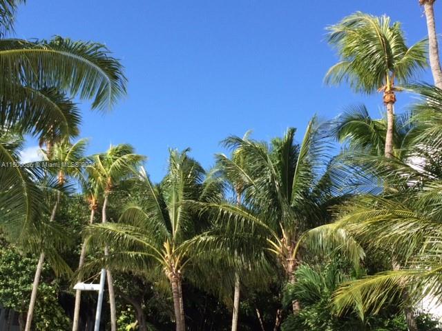 Miami, Florida 33138, 1 Bedroom Bedrooms, ,1 BathroomBathrooms,Residentiallease,For Rent,A11506686