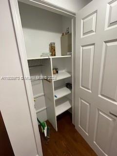 Pantry or Linen Closet
