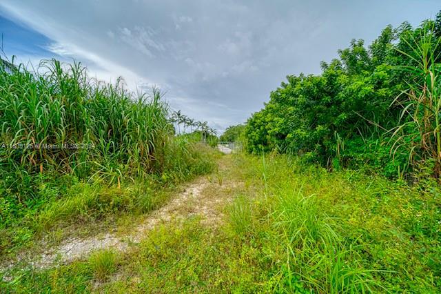 20425 SW 296th St, Homestead, Florida 33030, ,Commercialsale,For Sale,20425 SW 296th St,A11509126