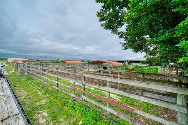 20425 SW 296th St, Homestead, Florida 33030, ,Commercialsale,For Sale,20425 SW 296th St,A11509126