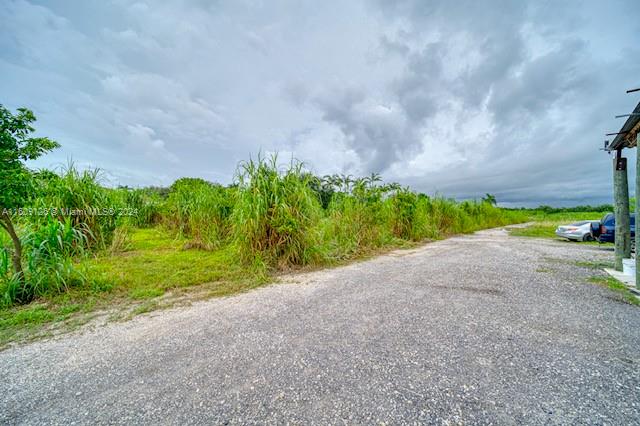 20425 SW 296th St, Homestead, Florida 33030, ,Commercialsale,For Sale,20425 SW 296th St,A11509126