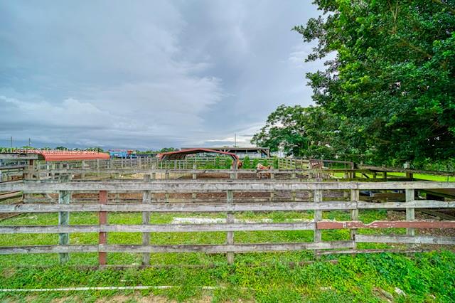 20425 SW 296th St, Homestead, Florida 33030, ,Commercialsale,For Sale,20425 SW 296th St,A11509126