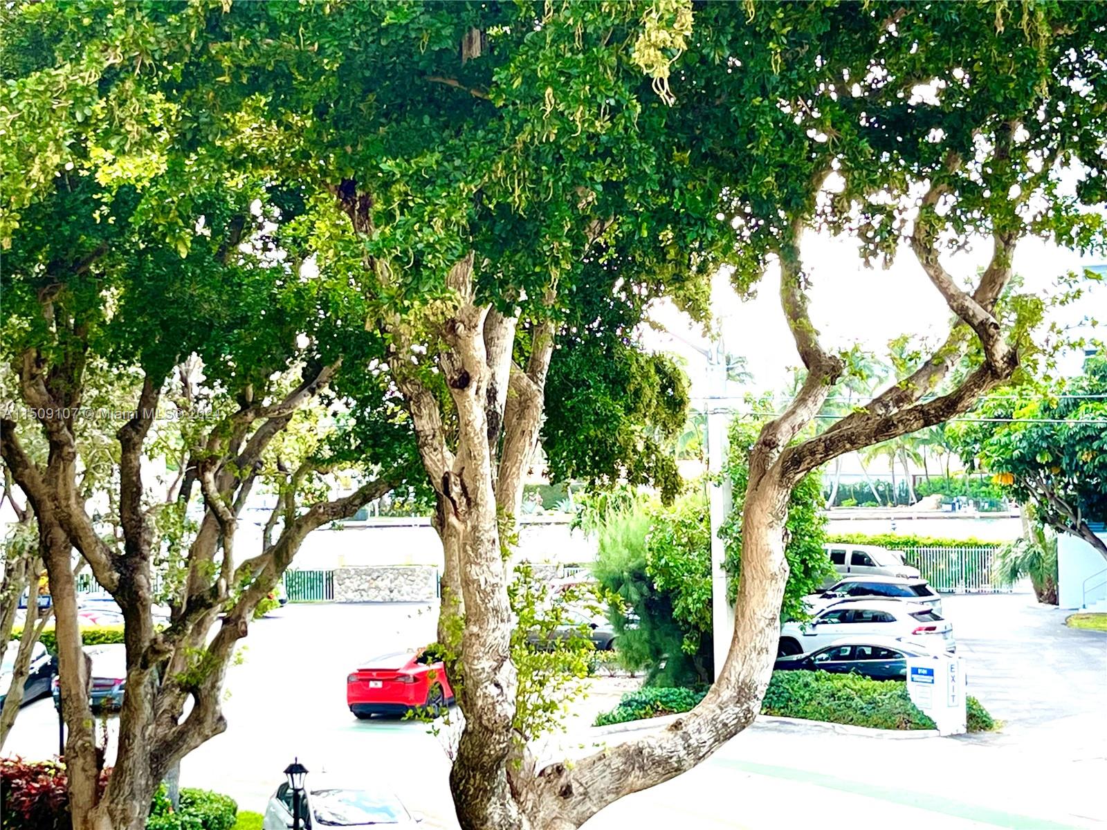 1001 91st St 212, Bay Harbor Islands, Florida 33154, 1 Bedroom Bedrooms, ,1 BathroomBathrooms,Residentiallease,For Rent,1001 91st St 212,A11509107