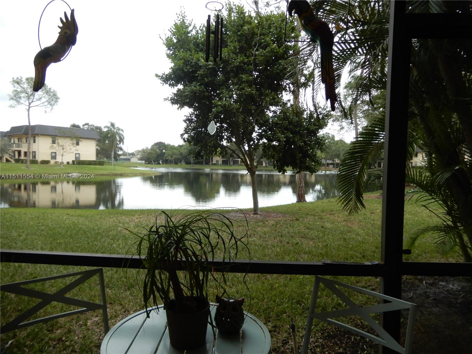 View from your screen-enclosed porch