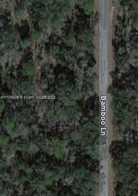 SW BAMBOO LN, DUNNELLON, SW BAMBOO LN, DUNNELLON, Florida 34432, Other City - In The State Of Florida, FL 