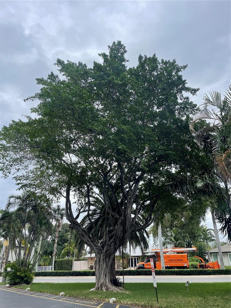 Trees and nature beautiful surroundings, pristine water at the community deck.