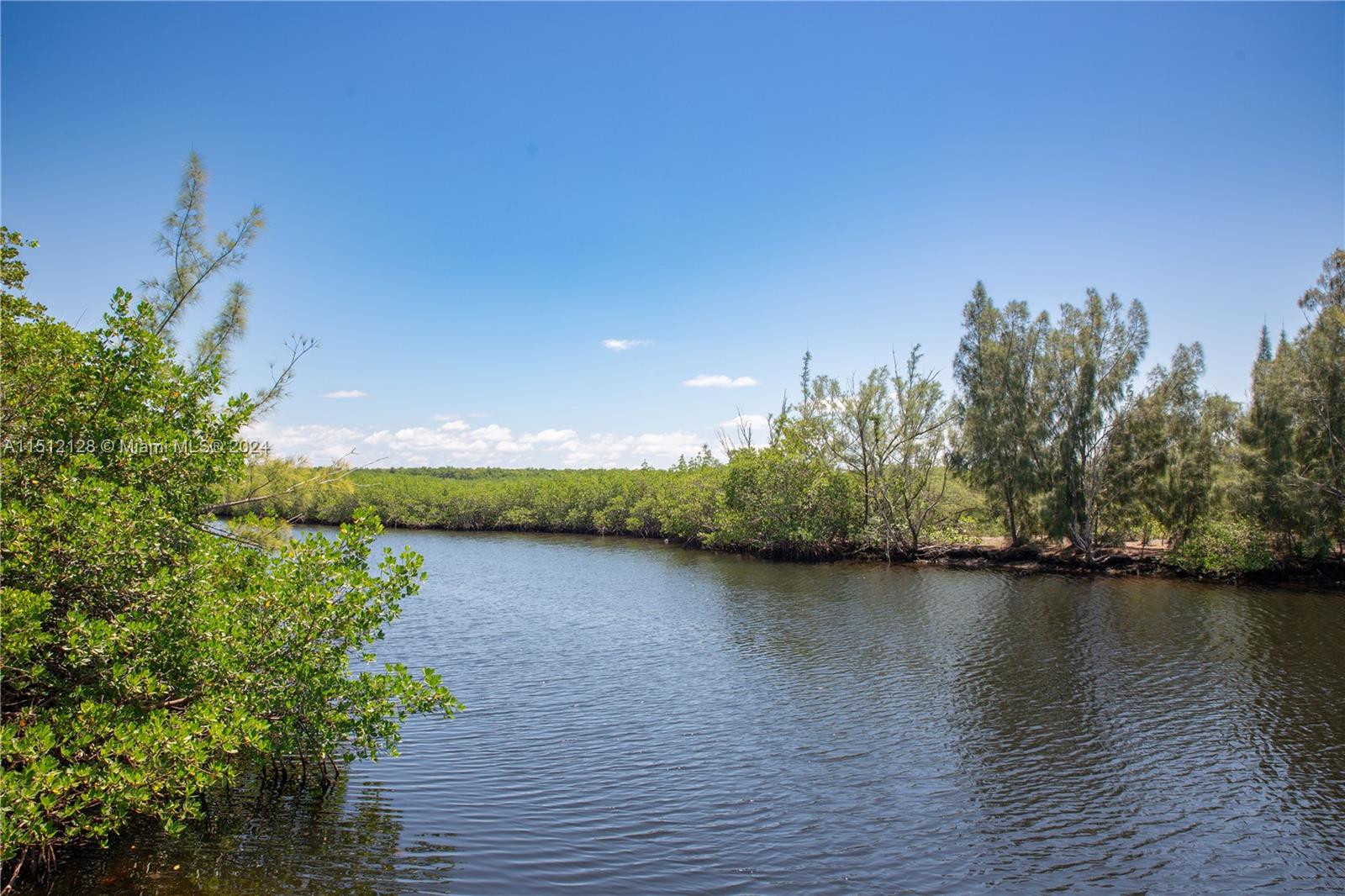 325 Campana Ave, Coral Gables, FL, 33156 United States, 6 Bedrooms Bedrooms, ,5 BathroomsBathrooms,Residential,For Sale,Campana Ave,A11512128