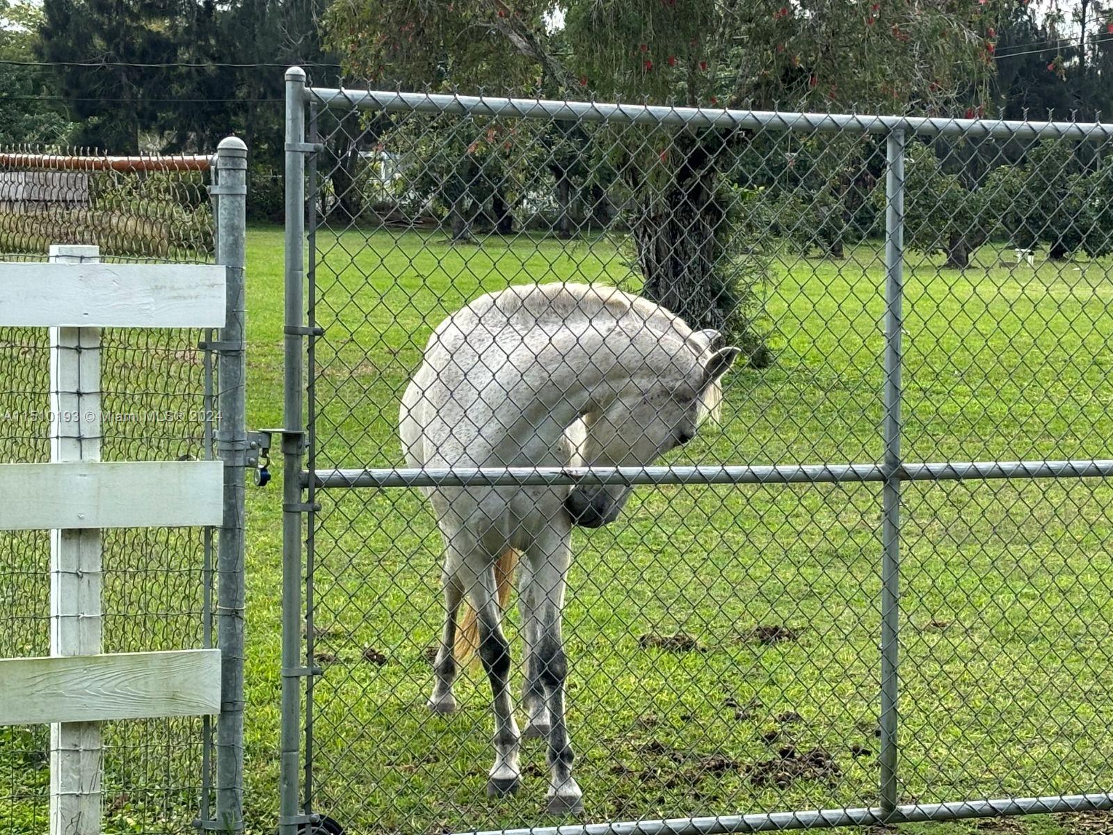 30000 SW 197th Ave, Homestead, Florida 33030, 3 Bedrooms Bedrooms, ,3 BathroomsBathrooms,Residential,For Sale,30000 SW 197th Ave,A11510193