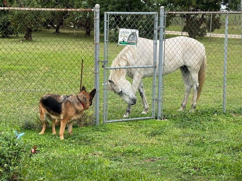 30000 SW 197th Ave, Homestead, Florida 33030, 3 Bedrooms Bedrooms, ,3 BathroomsBathrooms,Residential,For Sale,30000 SW 197th Ave,A11510193