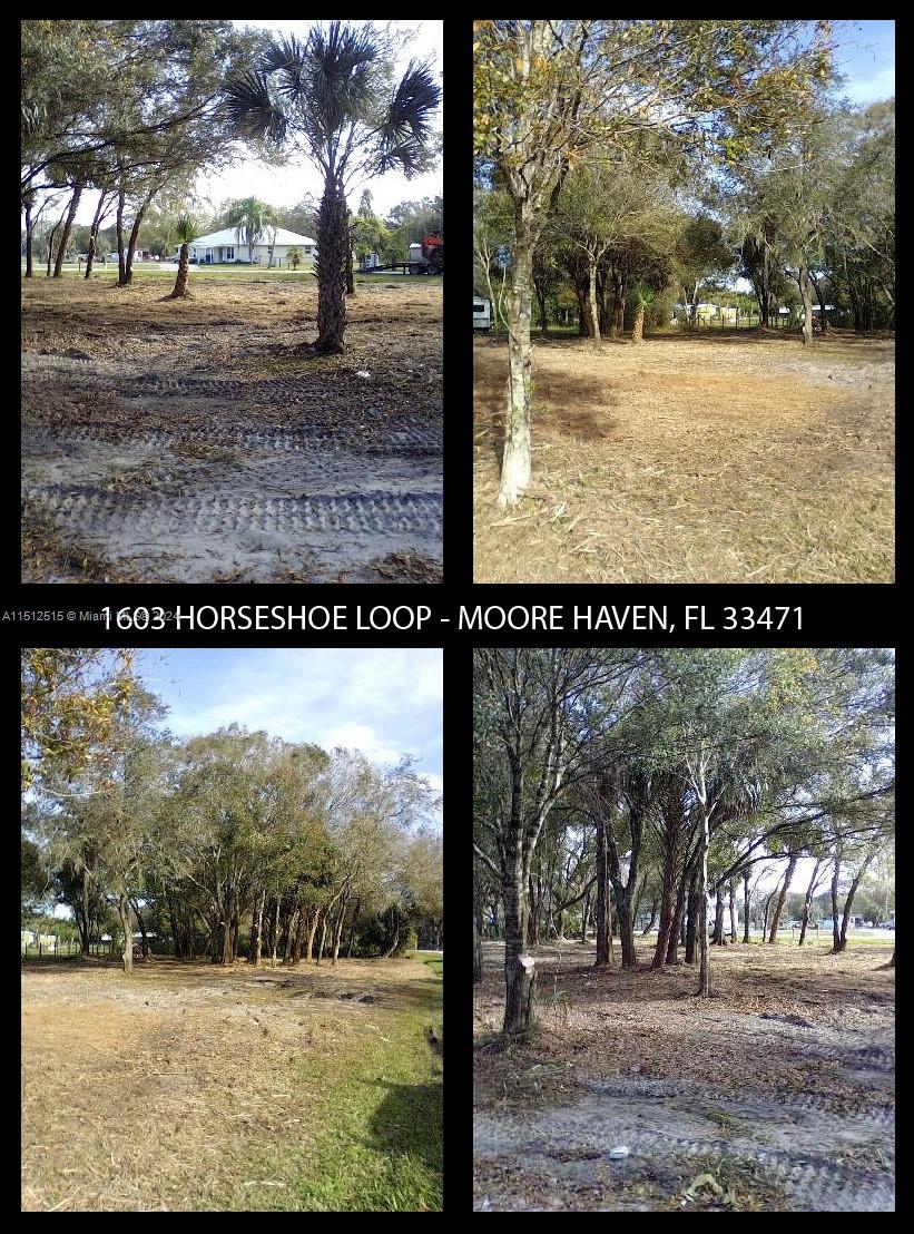 1603 HORSESHOE LOOP, Moore Haven, FL 33471