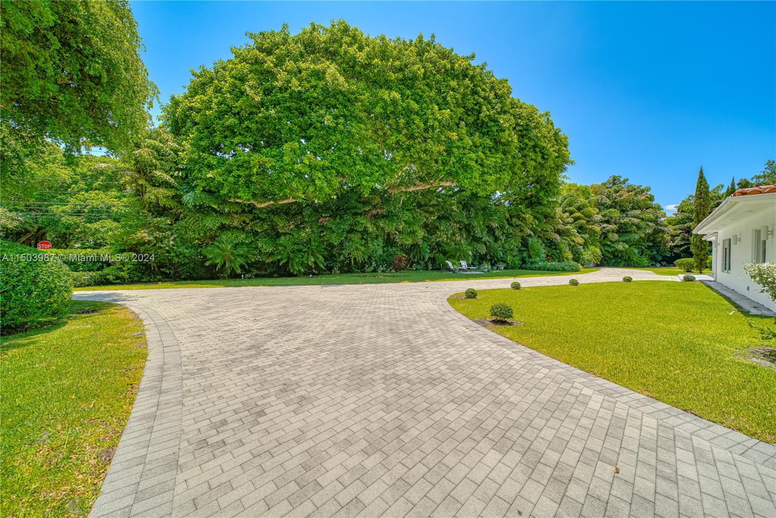 8650 Old Cutler Rd, Coral Gables, FL, 33143 United States, 4 Bedrooms Bedrooms, ,3 BathroomsBathrooms,Residential,For Sale,Old Cutler Rd,A11503987