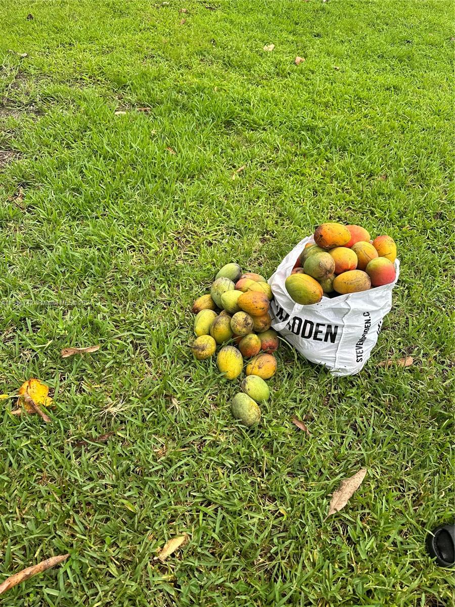 15451 SW 208th Ave, Miami, Florida 33187, 4 Bedrooms Bedrooms, ,2 BathroomsBathrooms,Residential,For Sale,15451 SW 208th Ave,A11516742