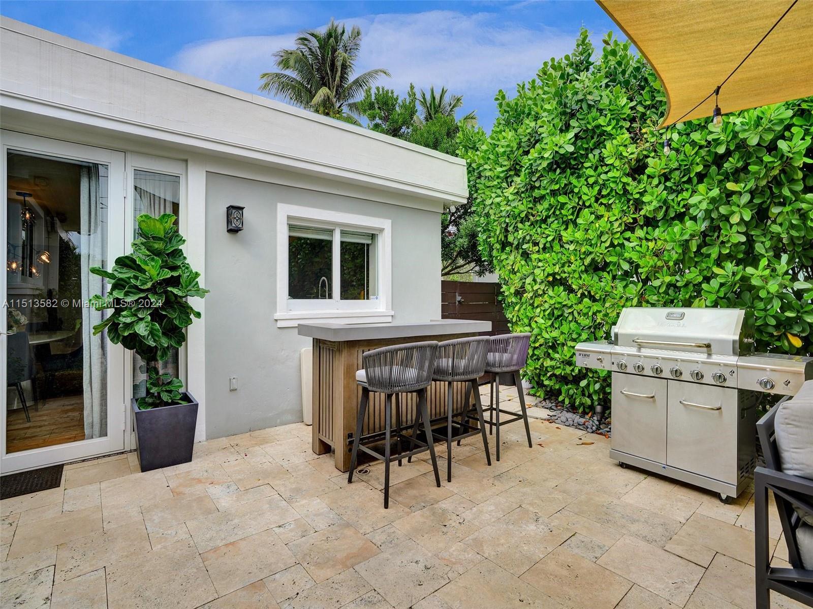 Outdoor Bar & BBQ Area